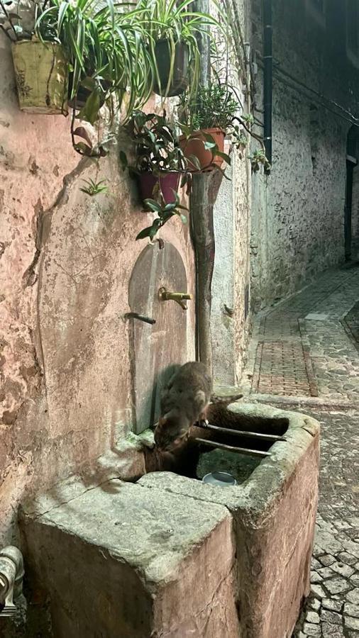 Le Petit Bijou Di Dolceacqua, Per Un Momento Romantico Exterior photo